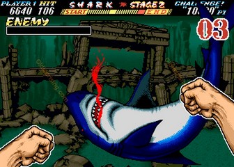 image de The First Funky Fighter
